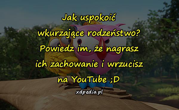 Jak uspokoić wkurzające rodzeństwo? Powiedz im, że nagrasz