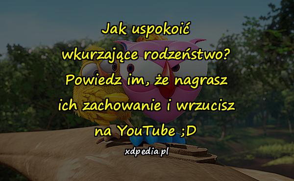 Jak uspokoić wkurzające rodzeństwo? Powiedz im, że nagrasz