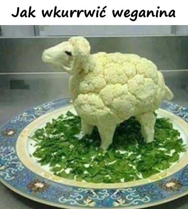 Jak wkurrwić weganina