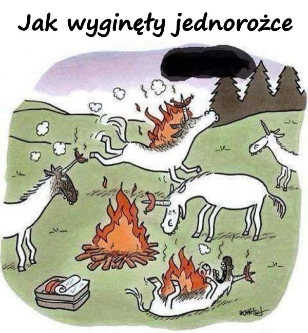 Jak wyginęły jednorożce