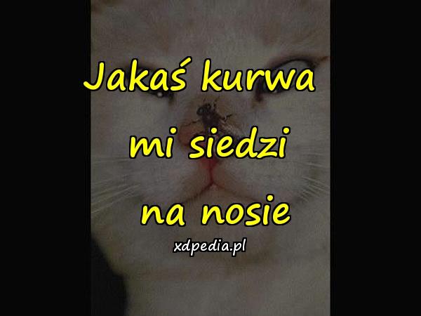 Jakaś kurwa mi siedzi na nosie