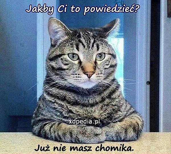 Jakby Ci to powiedzieć? Już nie masz chomika