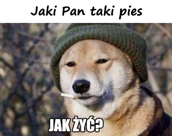 Jaki Pan taki pies