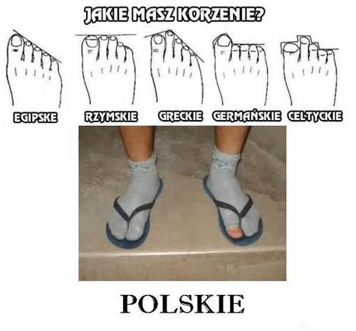 Jakie masz korzenie? Egipskie, Rzymskie, Greckie