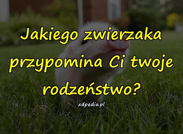 Jakiego zwierzaka przypomina Ci twoje rodzeństwo