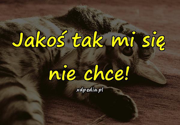 Jakoś tak mi się nie chce