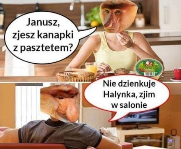 - Janusz zjesz kanapki z pasztetem? - Nie dzienkuje