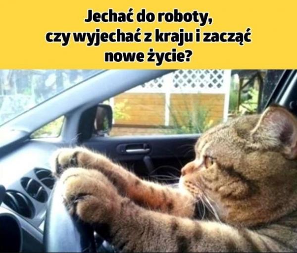 Jechać do roboty, czy wyjechać z kraju i zacząć nowe życie