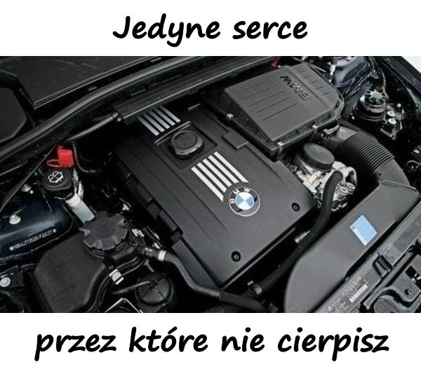 Jedyne serce przez które nie cierpisz