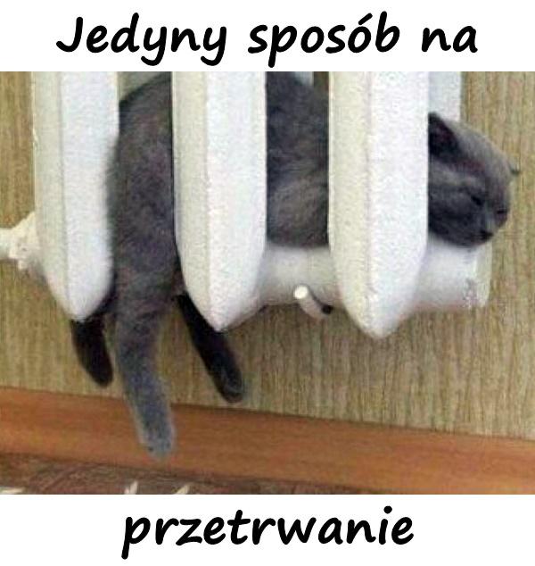 Jedyny sposób na przetrwanie