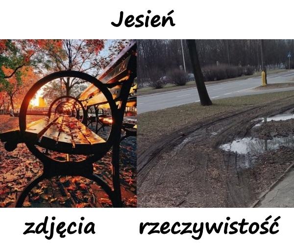 Jesień - zdjęcia i rzeczywistość