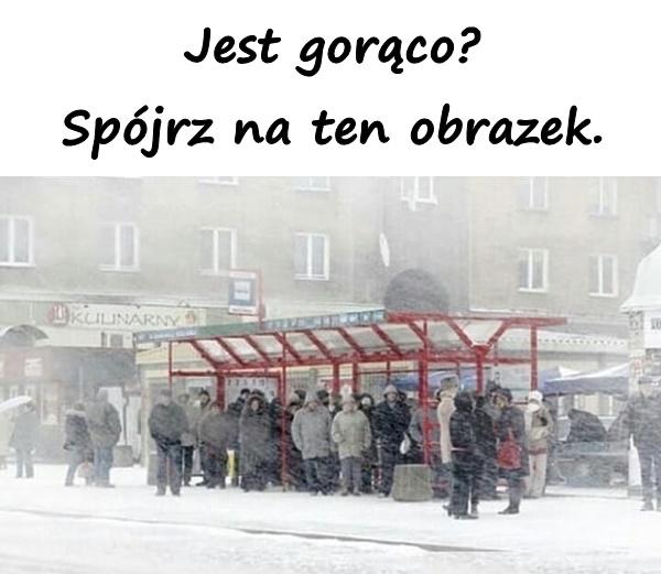 Jest gorąco? Spójrz na ten obrazek