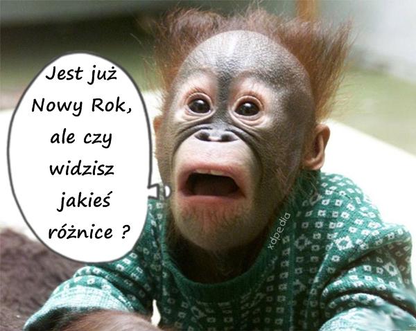 Jest już Nowy Rok, ale czy widzisz jakieś różnice