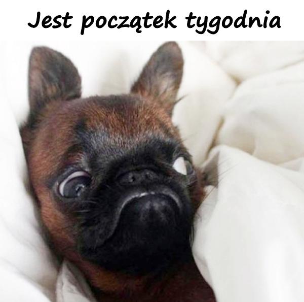 Jest początek tygodnia