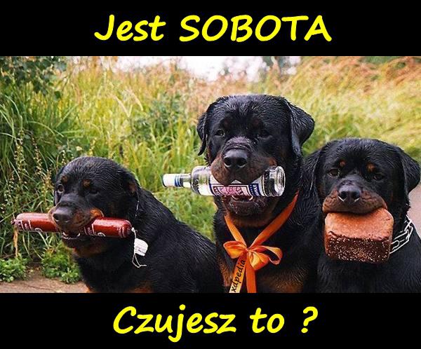 Jest SOBOTA. Czujesz to