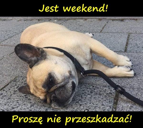 Jest weekend! Proszę nie przeszkadzać