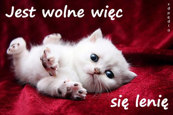 Jest wolne więc się lenię