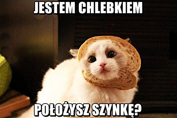 Jestem chlebkiem, położysz szynkę