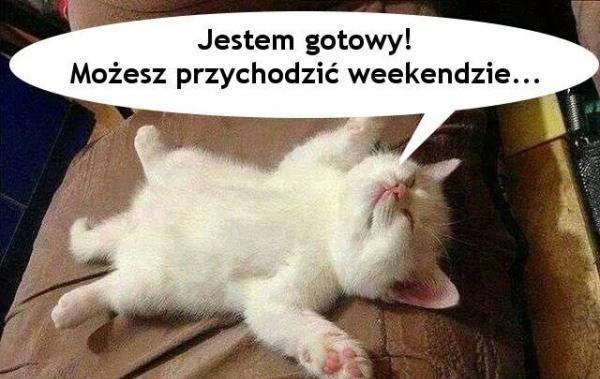 Jestem gotowy! możesz przychodzić weekendzie