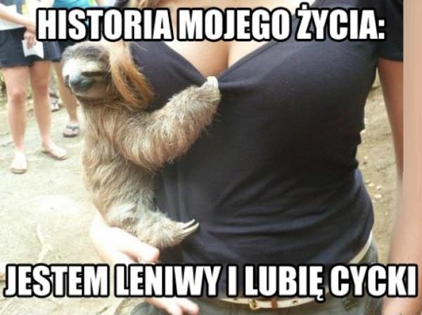 Jestem leniwy i lubię cycki