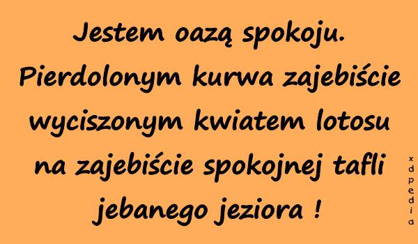 Jestem oazą spokoju. Pierrdolonym kurrwa zaejebiście