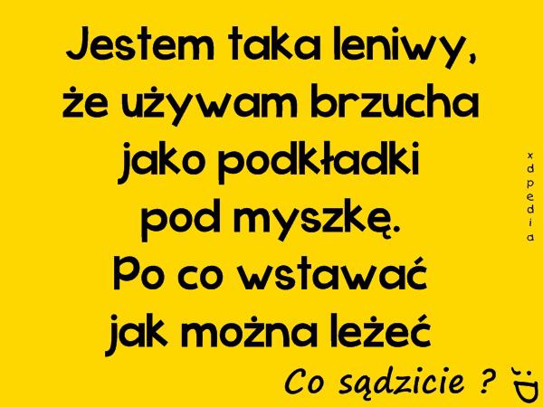 Jestem taka leniwy, że używam brzucha jako podkładki pod