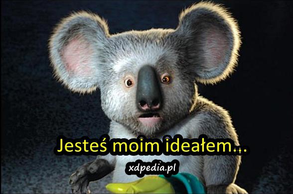 Jesteś moim ideałem