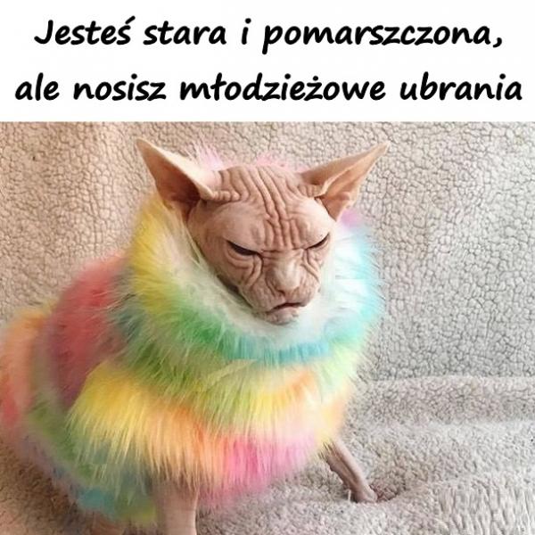 Jesteś stara i pomarszczona, ale nosisz młodzieżowe ubrania