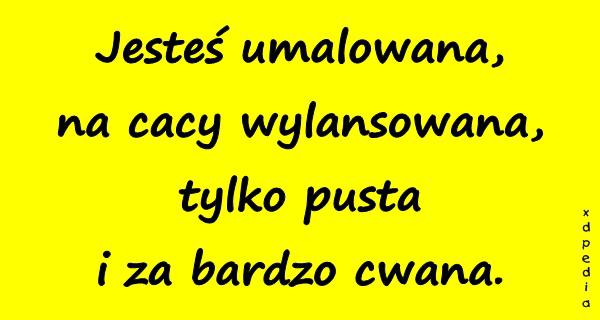 Jesteś umalowana, na cacy wylansowana, tylko pusta i za