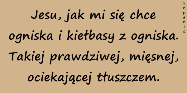 Jesu, jak mi się chce ogniska i kiełbasy z ogniska. Takiej