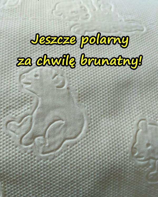 Jeszcze polarny za chwilę brunatny