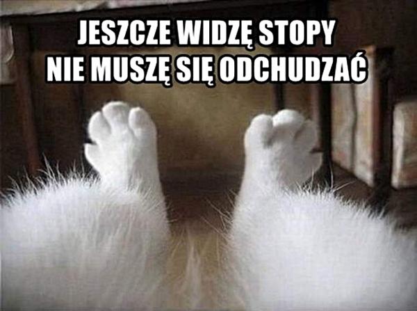 Jeszcze widzą stopy, nie muszę się odchudzać