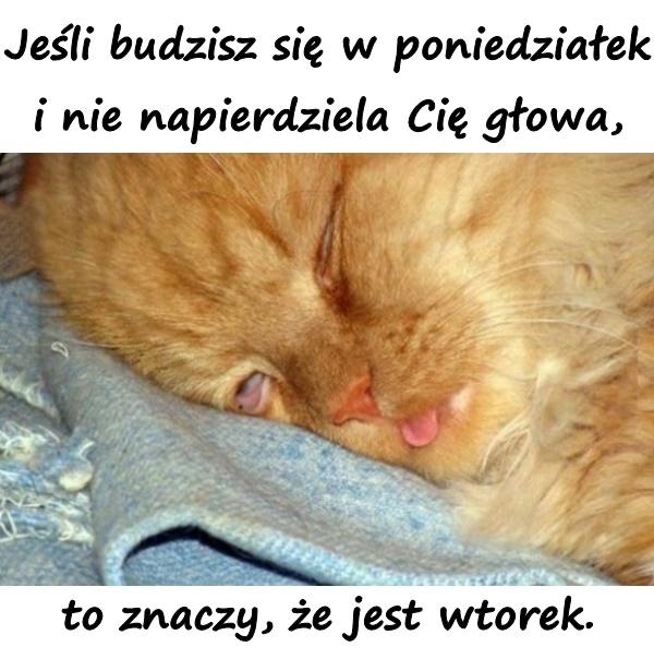 Jeśli budzisz się w poniedziałek i nie napierdziela Cię