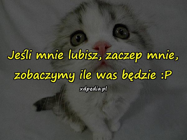 Jeśli mnie lubisz, zaczep mnie, zobaczymy ile was będzie :P