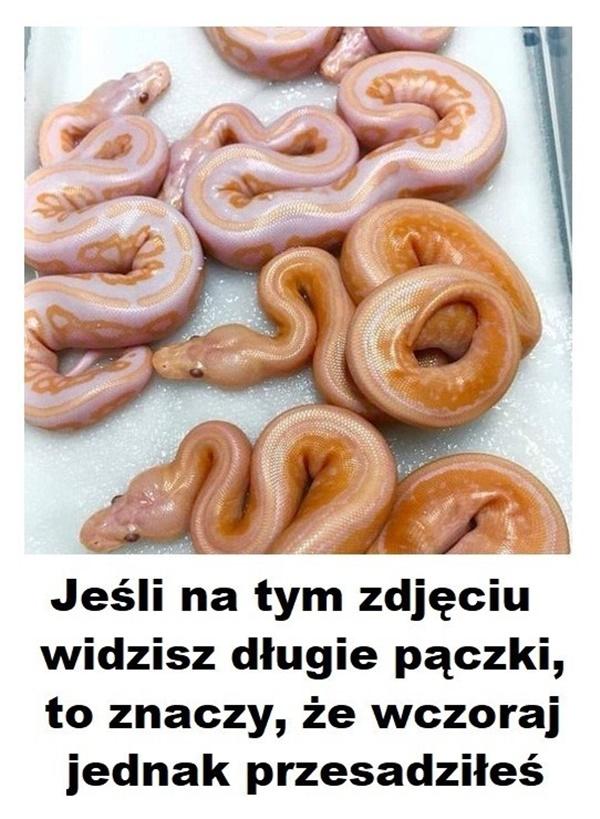 Jeśli na tym zdjęciu widzisz długie pączki, to znaczy, że