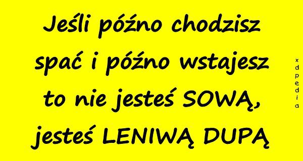 Jeśli późno chodzisz spać i późno wstajesz to nie jesteś