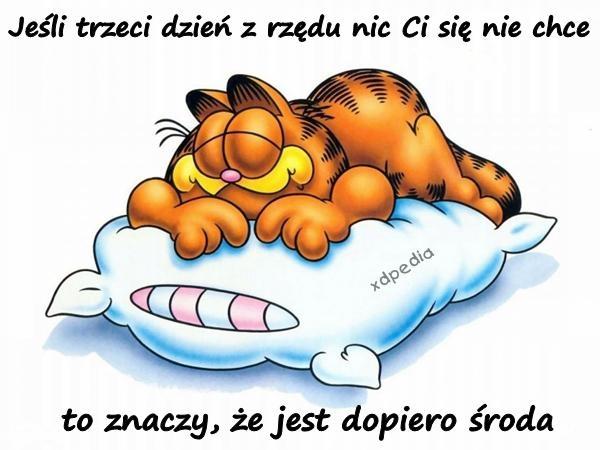 Jeśli trzeci dzień z rządu nic ci się nie chce to znaczy