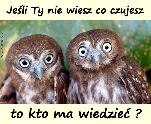 Jeśli Ty nie wiesz co czujesz, to kto ma wiedzieć