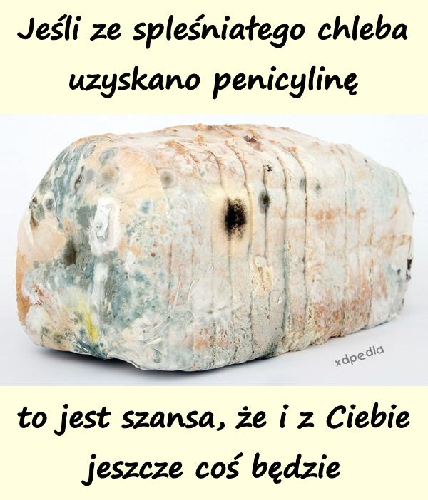 Jeśli ze spleśniałego chleba uzyskano penicylinę, to jest