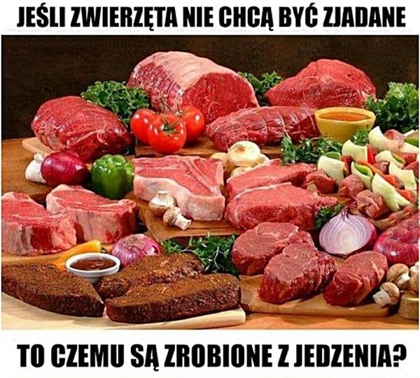 Jeśli zwierzęta nie chcą być zjadane, to czemu są zrobione