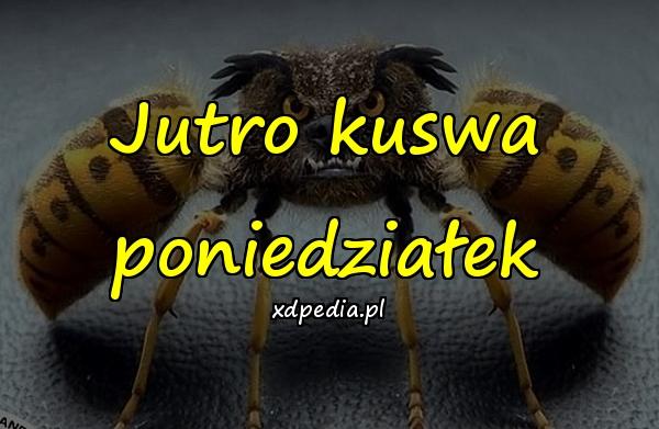 Jutro kuswa poniedziałek