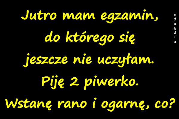 Jutro mam egzamin, do którego się jeszcze nie uczyłam. Piję