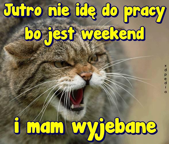 Jutro nie idę do pracy bo jest weekend i mam wyjebane