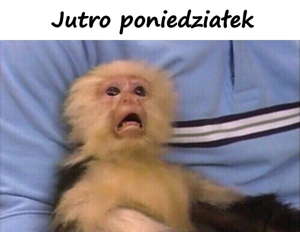 Jutro poniedziałek