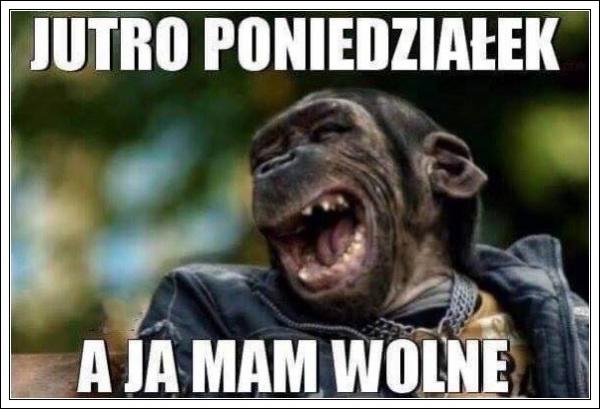 Jutro poniedziałek a ja mam wolne