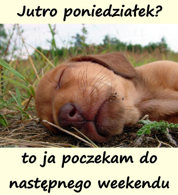 Jutro poniedziałek? To ja poczekam do następnego weekendu