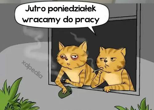 Jutro poniedziałek wracamy do pracy