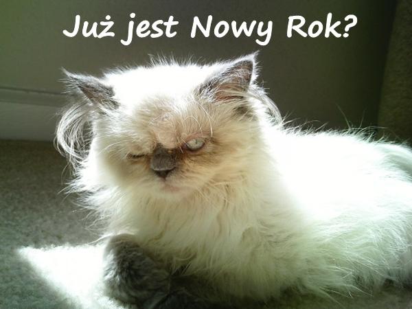 Już jest Nowy Rok