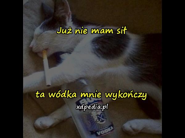 Już nie mam sił ta wódka mnie wykończy