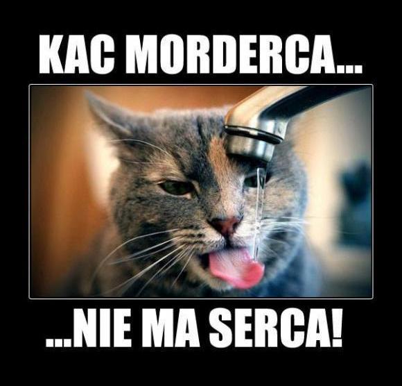 Kac morderca nie ma serca